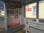 Мэрия Благовещенска разыскивает расклейщика объявлений на автобусных остановках