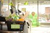 «Пятерочка» откроет первые продуктовые магазины на Дальнем Востоке в марте
