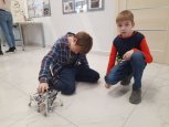 Амурские школьники показали роботов-пауков и канатоходцев