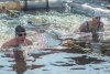 Амурские моржи отметят 19-й день рождения заплывом