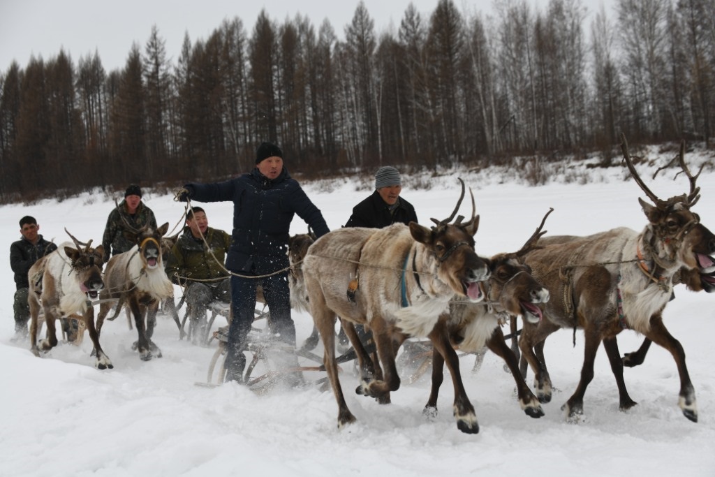 В Амурской области чествуют оленеводов и охотников. Фото: Наталья Поспелова