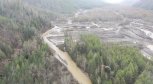 Золотодобывающую компания в Селемджинском районе досрочно лишили лицензии за загрязнение реки