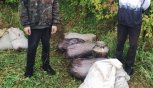 Организаторов межрегионального канала сбыта наркотиков осудили в Приамурье