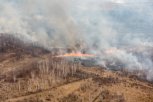 Первые лесные пожары зарегистрированы в Амурской области