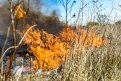 В Амурской области установили шестерых виновников возгорания сухой травы. Фото: Архив АП