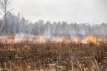 Возле села Кундур произошел лесной пожар
