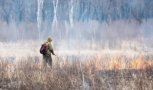 Природный пожар на юге Амурской области тушат 49 десантников и парашютистов
