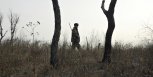 Троим браконьерам из Шимановска и Циолковского грозит лишение права охоты