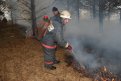 Огнеборцы Приамурья 19 раз за сутки выезжали на возгорания сухой растительности. Фото: архив АП