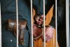Иностранца-взяточника задержали в Амурской области на границе с Китаем