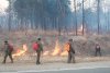 Пожароопасный сезон открыт еще в двух районах Амурской области