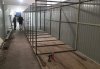 Житель амурской Лермонтовки за свой счет строит приют для животных