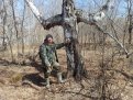 Березу в форме креста нашли в лесу Бурейского округа. Фото: t.me/Burea_lesnichestvo