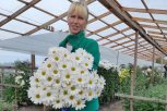 Как в амурской Возжаевке расцвел цветочный бизнес: соцконтракты помогают открыть свое дело