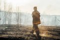 В Амурской области за сутки потушили шесть природных пожаров. Фото: Архив АП