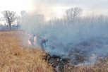 По вине амурчан произошло семь пожаров за сутки: огнем пройдено 145 гектаров