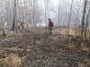 Девять природных пожаров потушили в Приамурье за сутки