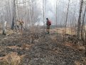 Девять природных пожаров потушили в Приамурье за сутки. Фото: Зейский лесхоз