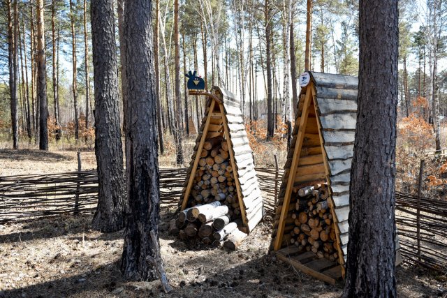 Самодельный стол в лесу