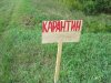 В Амурской области сняли карантин по бешенству