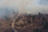 Житель Шимановского округа заплатит 410 тысяч рублей за пожар в лесу