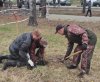 В Приамурье посадят еще четыре тысячи деревьев в этом году