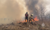 С начала пожароопасного сезона наказаны 66 поджигателей сухой травы
