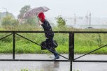 МЧС предупреждает жителей Приамурья о сильном ветре в понедельник
