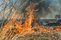 В Селемджинском районе летчик обнаружил пожар в 38 километрах от села. Фото: Алексей Сухушин