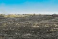 В Амурской области нет действующих природных пожаров. Фото: Алексей Сухушин