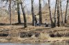 Жительницу Белогорска укусил энцефалитный клещ