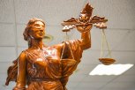 Благовещенца приговорили к 12 годам колонии за нападение на продавца в торговом центре «Острова»