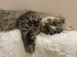 6 причин стресса на работе, и 3 действенных способа перестать заедать его: обзор «Амурской правды»