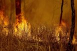 В Амурской области тушат четыре природных пожара