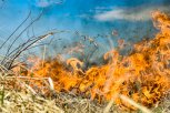 Пожар в районе села Саскаль в Шимановском округе охватил почти 1 300 гектаров