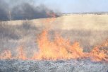 В Константиновском районе дети нашли зажигалку и подожгли траву недалеко от дома