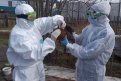 В Приамурье сняли карантин по птичьему гриппу. Фото: t.me/vet_ao