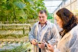 Гендиректор благовещенского «Тепличного» рассказал о вертикальных фермах и новых салатных линиях