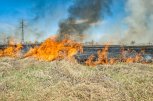 Гроза стала причиной природного пожара в Зейском округе