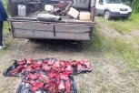 В Сковородинском округе поймали браконьеров с двумя тушами косуль