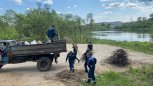 Сотрудники Райчихинской ГРЭС очистили в Прогрессе берег озера с краснокнижными лотосами