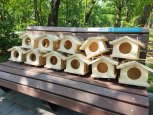 В Первомайском парке Благовещенска установили новые кормушки для белок и птиц