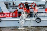 156 тысяч мальков осётра из Китая выпустили в пограничный Амур