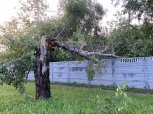 Почти сутки без света: энергетики восстанавливают электричество после урагана в Чигирях