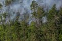 В Амурской области зарегистрировано 32 природных пожара. Фото: Архив АП