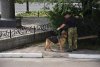 Сотрудники Дворца бракосочетания в Благовещенске вызвали спецслужбы из-за подозрительного рюкзака