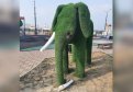 В Благовещенск топиарный слон потерял бивень. Фото: admblag.ru