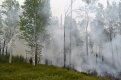 В Амурской области действует 22 природных пожара. Фото: Амурский центр ГЗ и ПБ