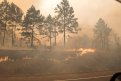 В Амурской области действует 21 природный пожар. Фото: Архив АП