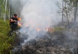 Два природных пожара действует в Зейском и Тындинском округах